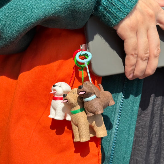 Hot Dog keychain