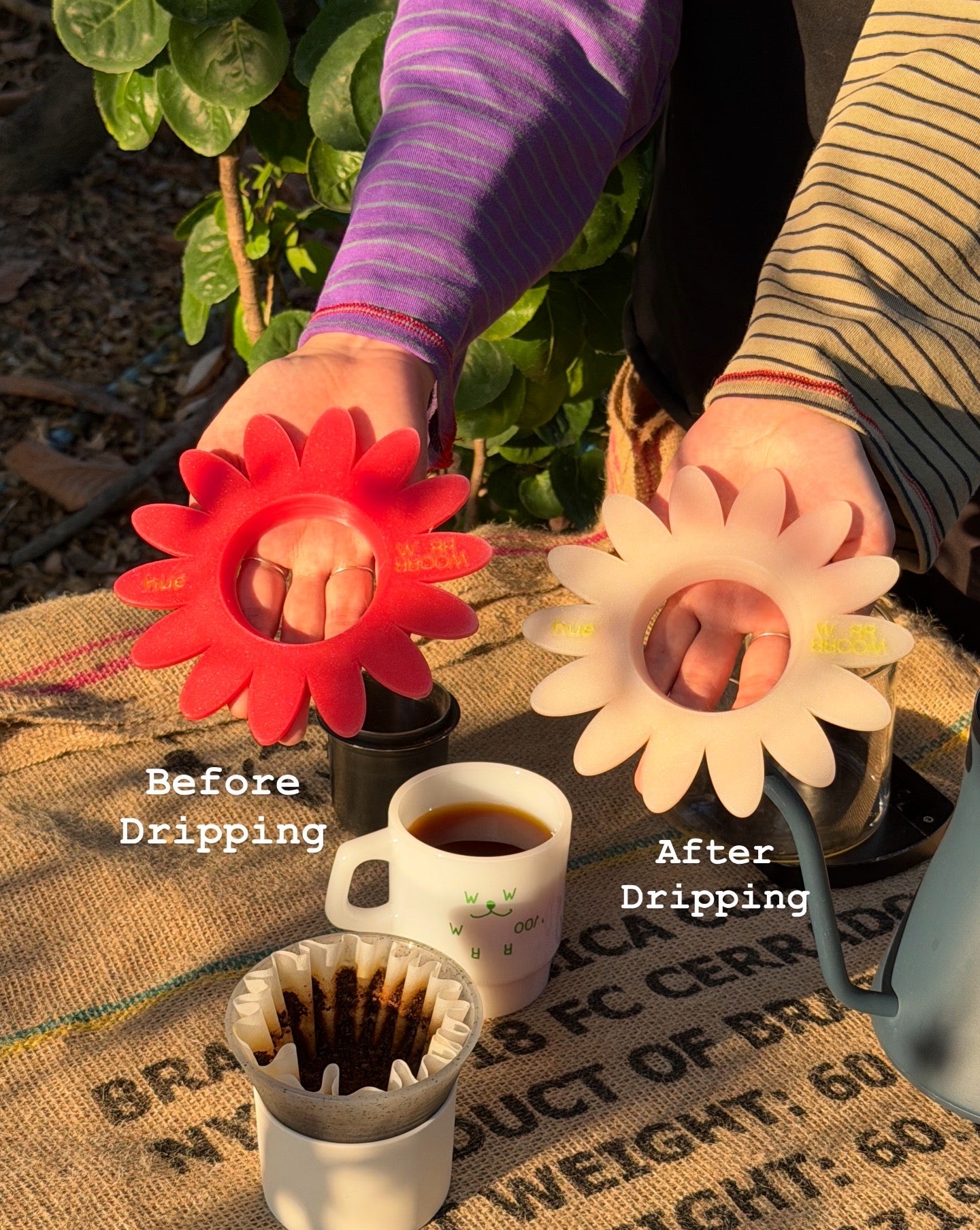 Colour Changing Dripper Holder